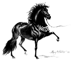 Peruvian Paso Horse, by Mary Parker